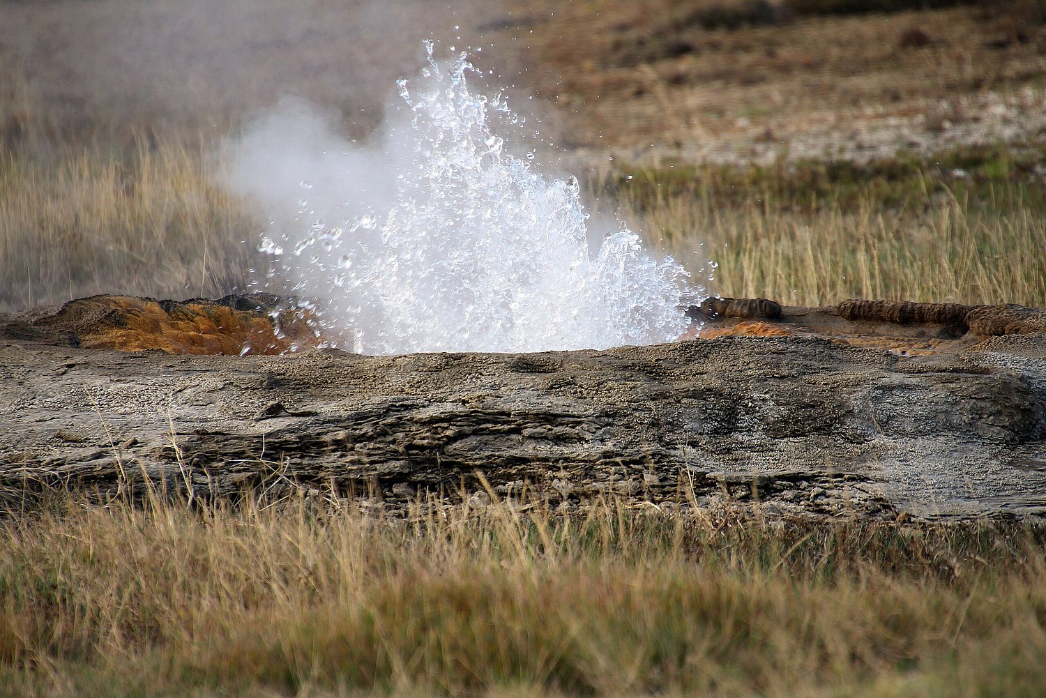 Geysir Wasserfontäne Wasserdampf